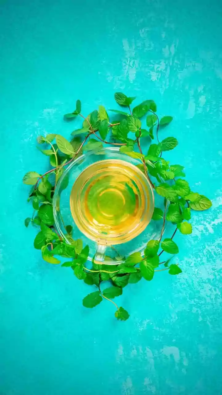 Slow Steeped Cold Teas Lead Syrup Free Trend With Indigenous Botanicals