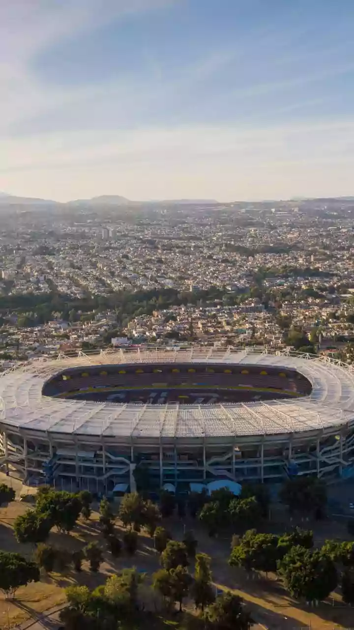 Copa do Mundo 2026: 7 segredos para você puxar assunto e parecer um especialista (mesmo sem entender nada de futebol)