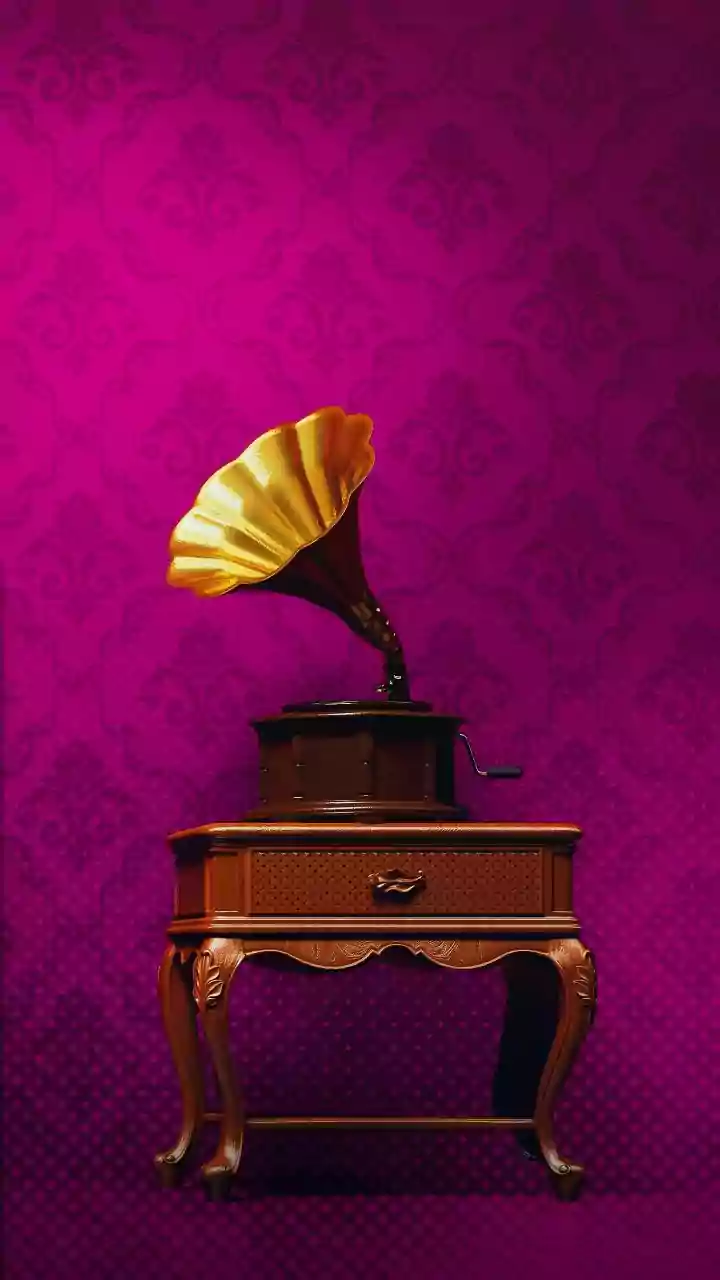 What's Your First Glance? Bird vs. Gramophone Illusion Reveals Your Inner Confidence