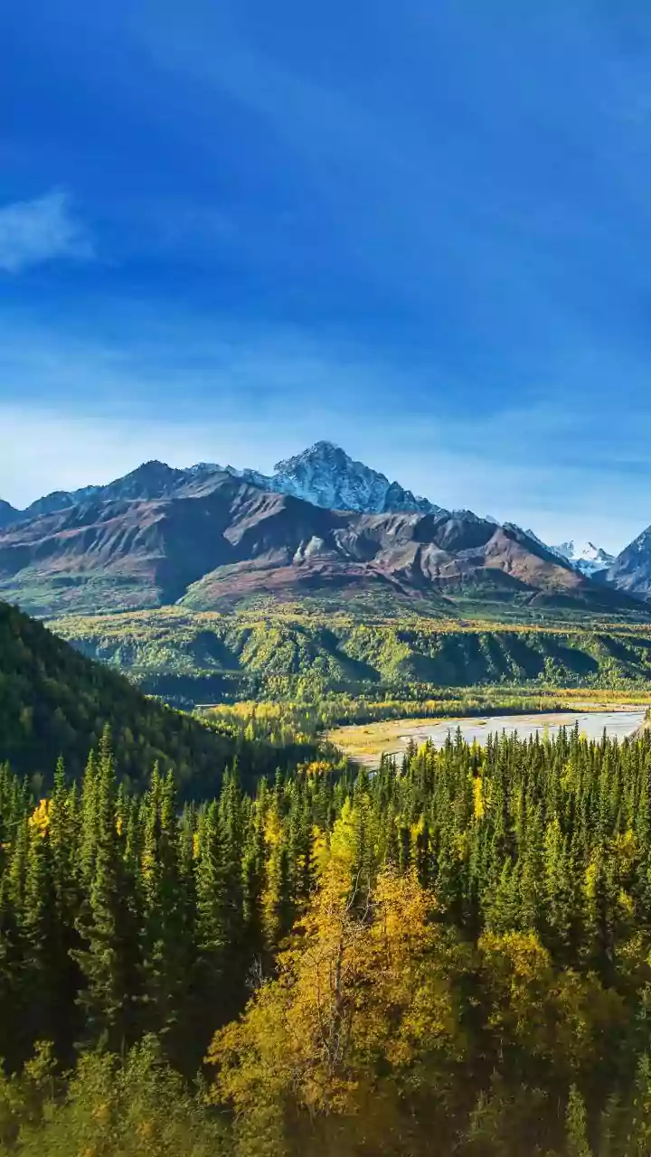 Denali National Park: Unveiling North America's Majestic Giant, Taller Than Everest