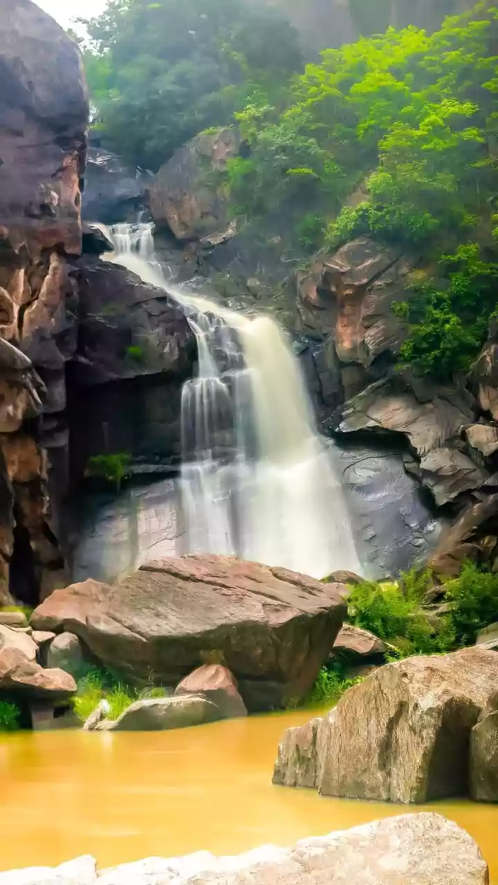 Maharashtra Travel Tales: From Wide-Variety Of Wildlife To Caves, Waterfalls & More, Gautala Autramghat Sanctuary Emerges As A Perfect Destination ...