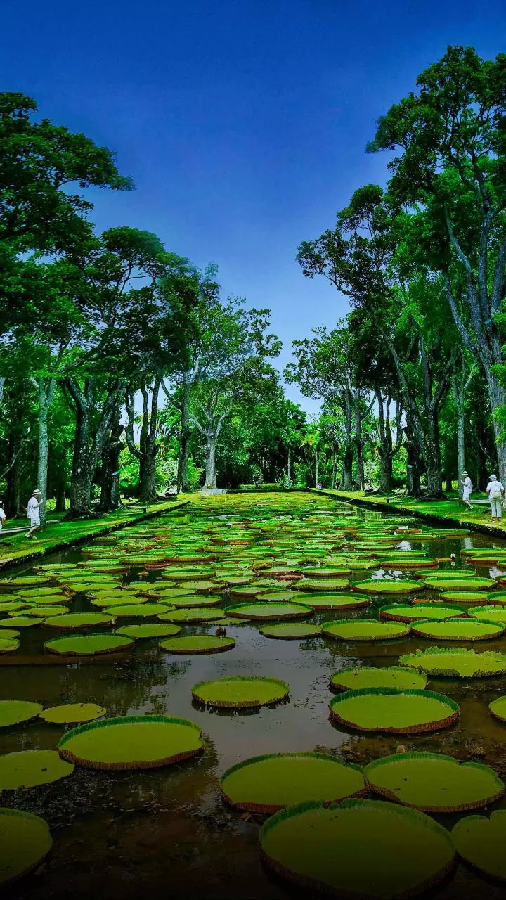 BJP leaders carry out signature campaign, silent protest against Bengaluru tunnel road project