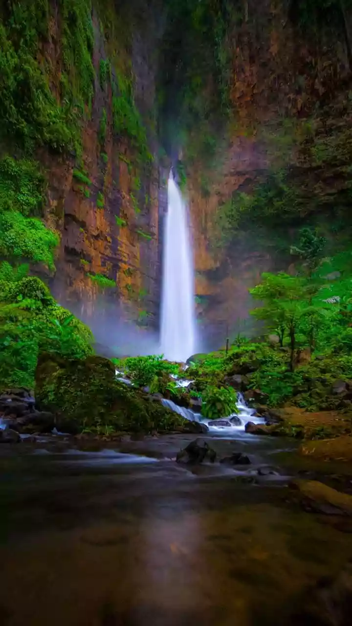Maharashtra Waterfalls Become Social Media-Friendly Monsoon Destinations Again