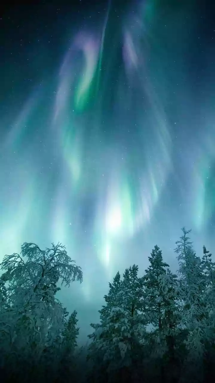 Solar Storm Alert: January's Sky to Glow?