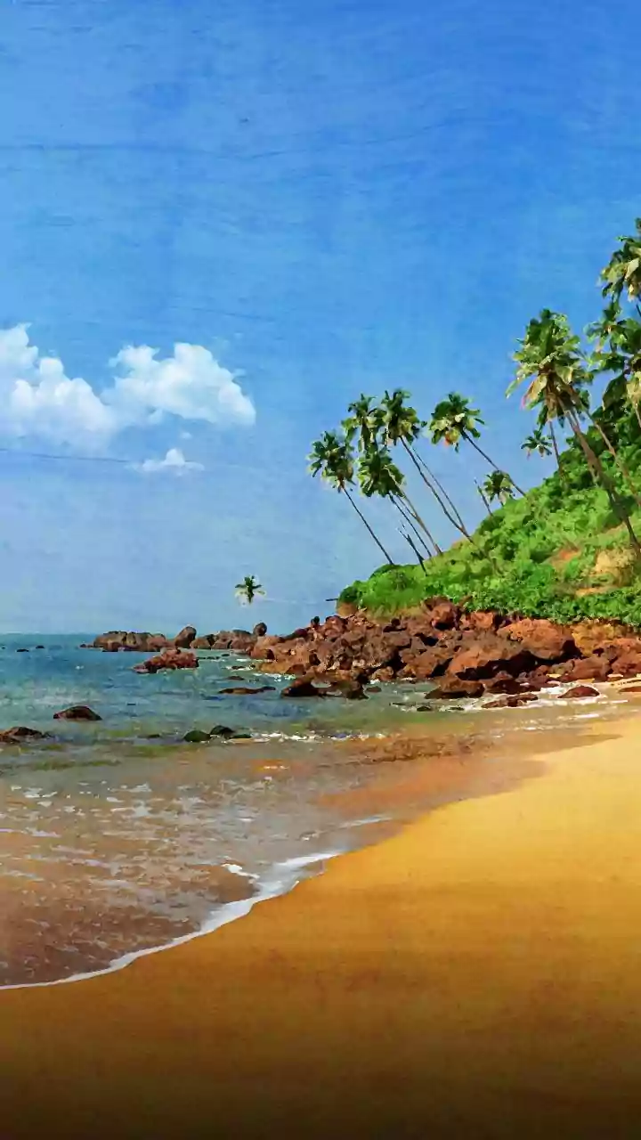 Goa readies to ring in New Year with massive tourist turnout