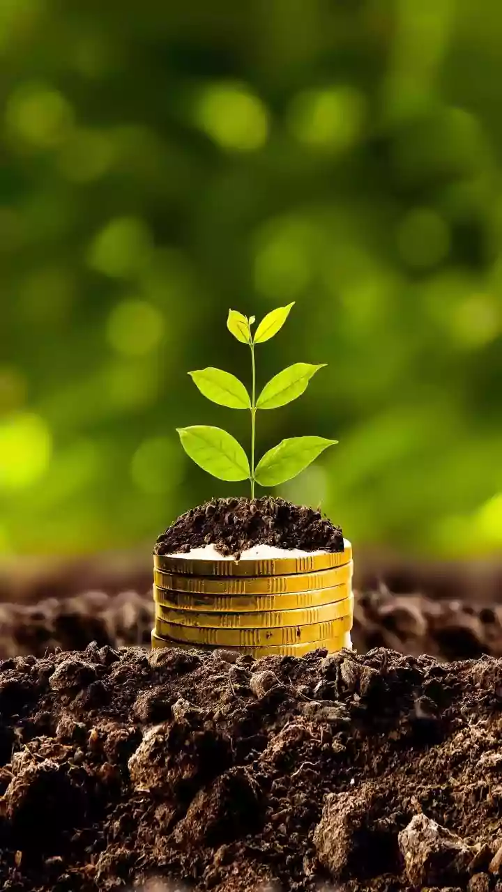 Indian Stock Market: Top Stocks for Potential Growth