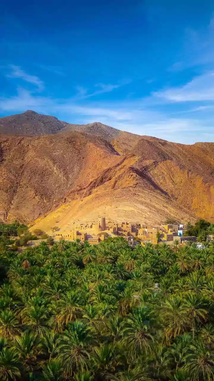 BLA Offensive: Balochistan Unrest & Local Support