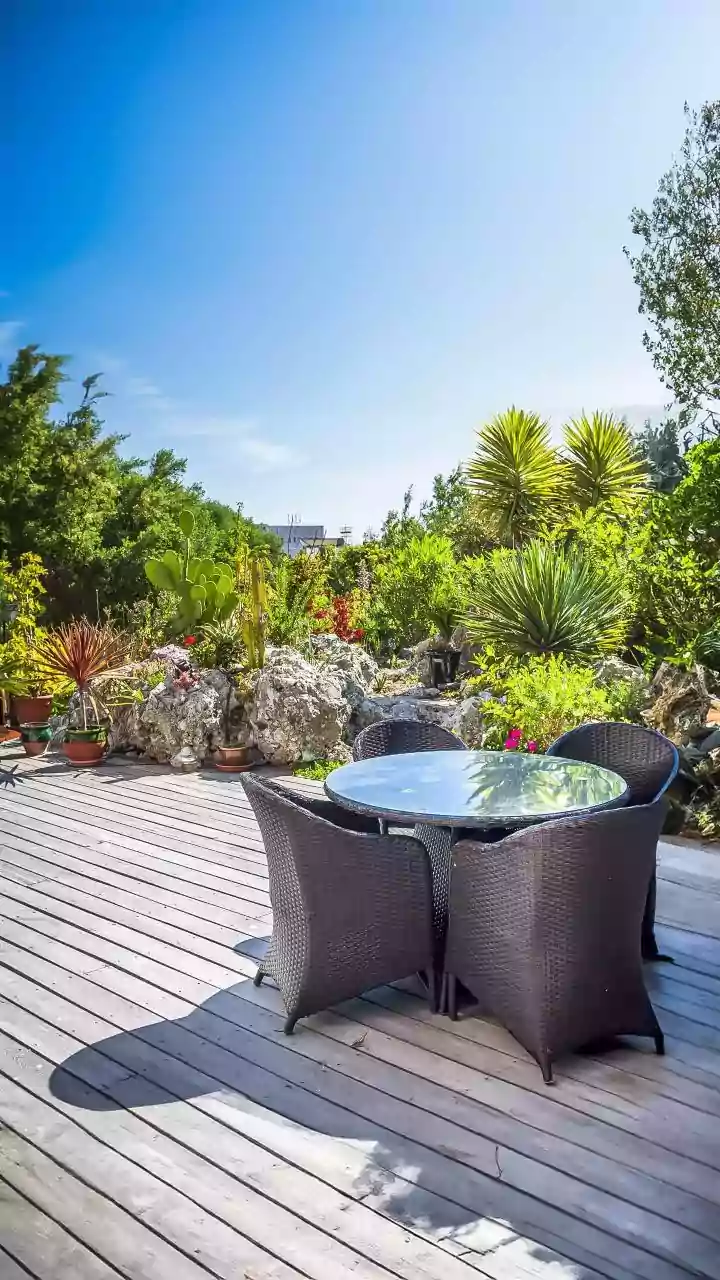 The Low-Water Gardening Shift Brings New Attention To Water-Smart Garden Design