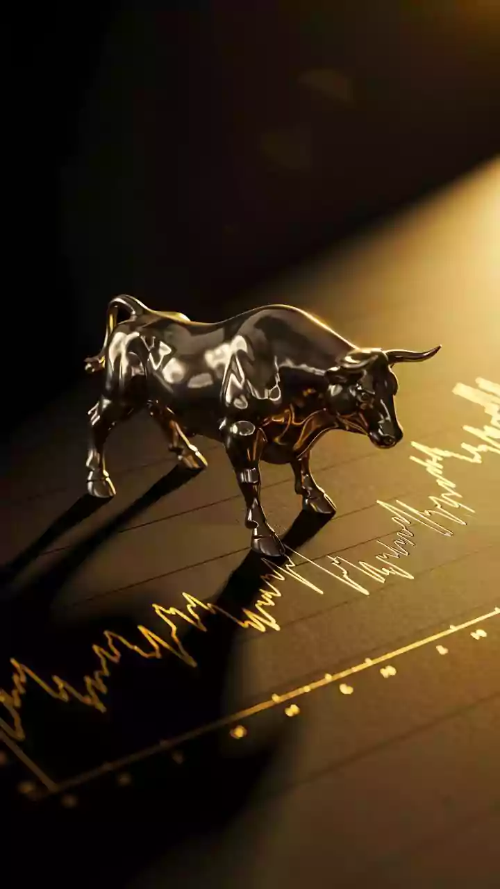 Upcoming IPO Frenzy: KSH International Among 4 New Issues, 15 Companies To List Next Week; Details Inside