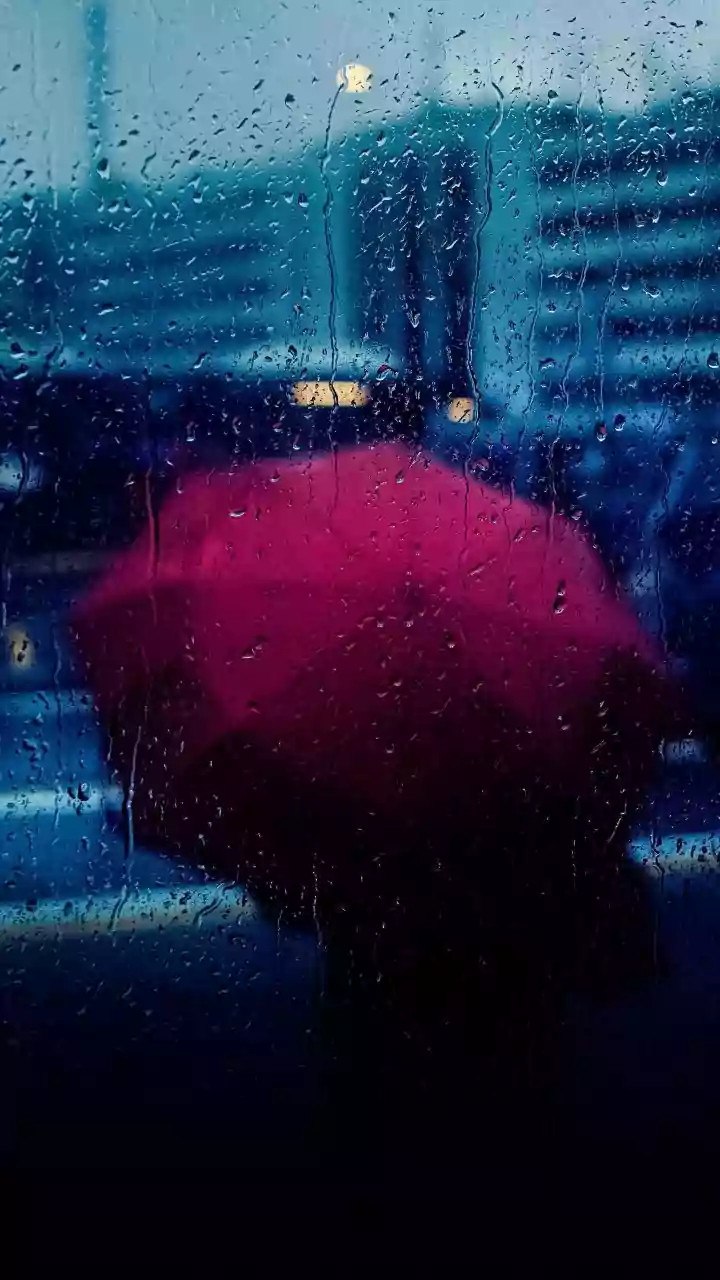 Rain Alerts Are Now Your Commute Co-Pilot