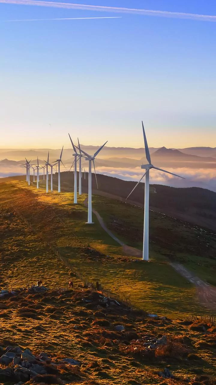 Why India Needs Storage And Transmission To Make Better Use Of Solar Power