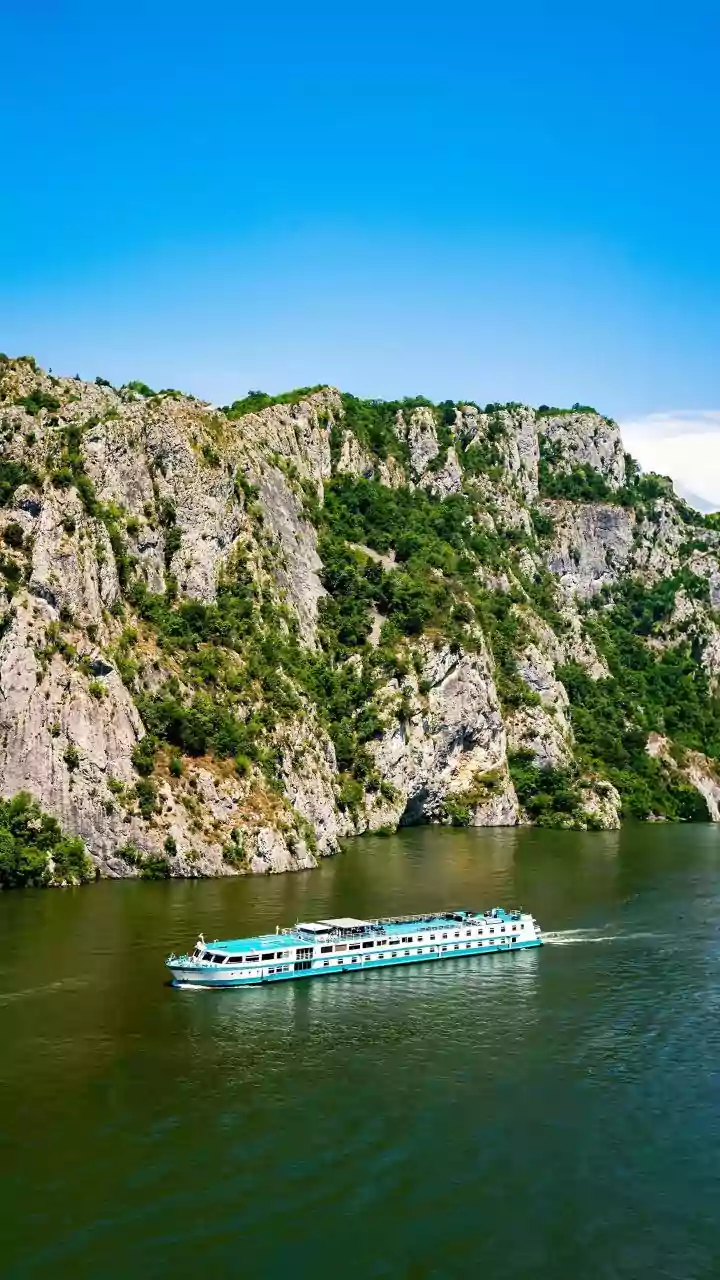 How Hantavirus From Rodents Killed 3 Cruise Passengers & Why It Matters To India