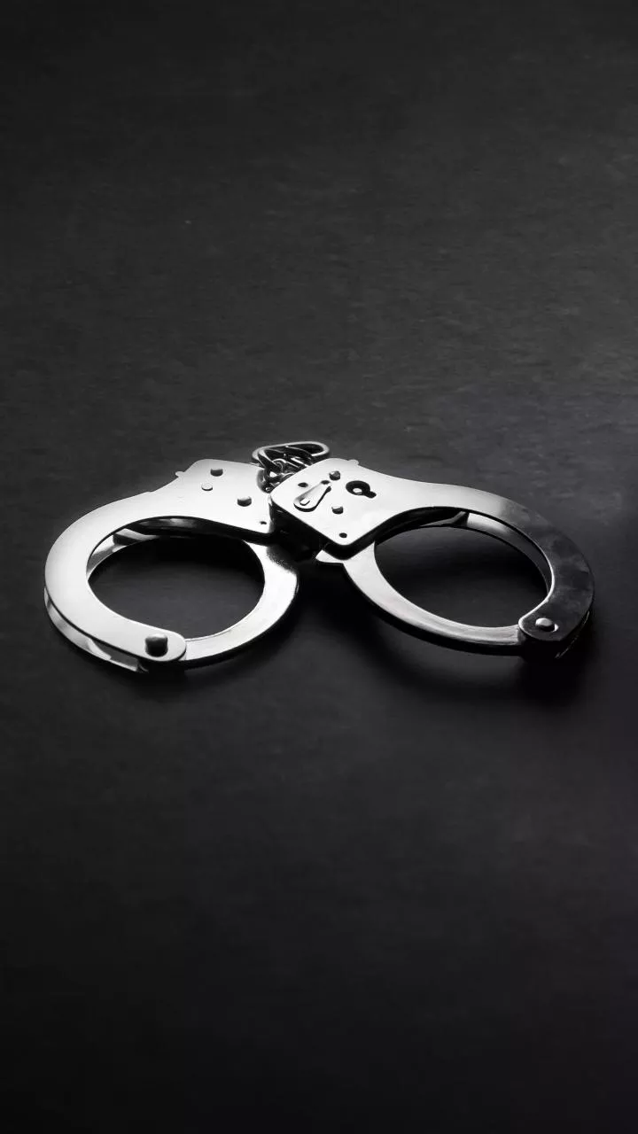 Two gangster-turned-terrorists arrested: Punjab DGP