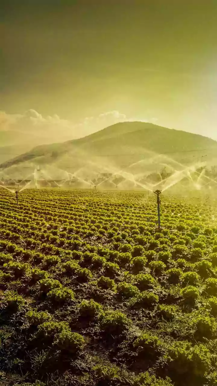 MP News: Micro Irrigation To Benefit Every Field, Says Deputy Chief Minister Jagdish Devda In Mandsaur