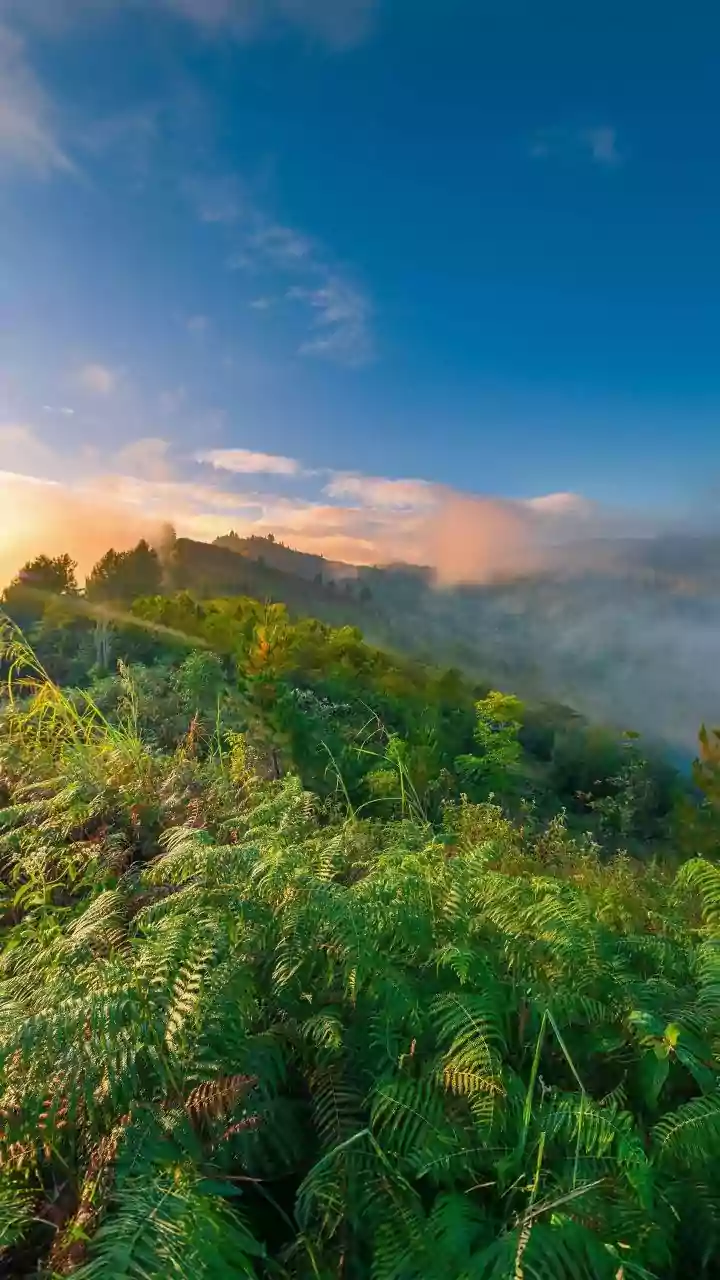 Dong Valley Travel Guide: Chase India’s Earliest Sunrise In Arunachal