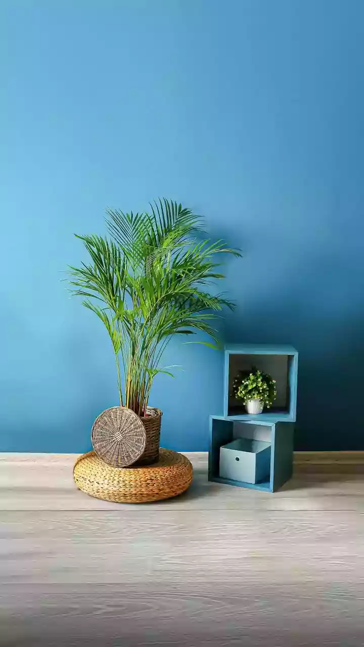 Indian Homes Are Done With Useless Decor Drama