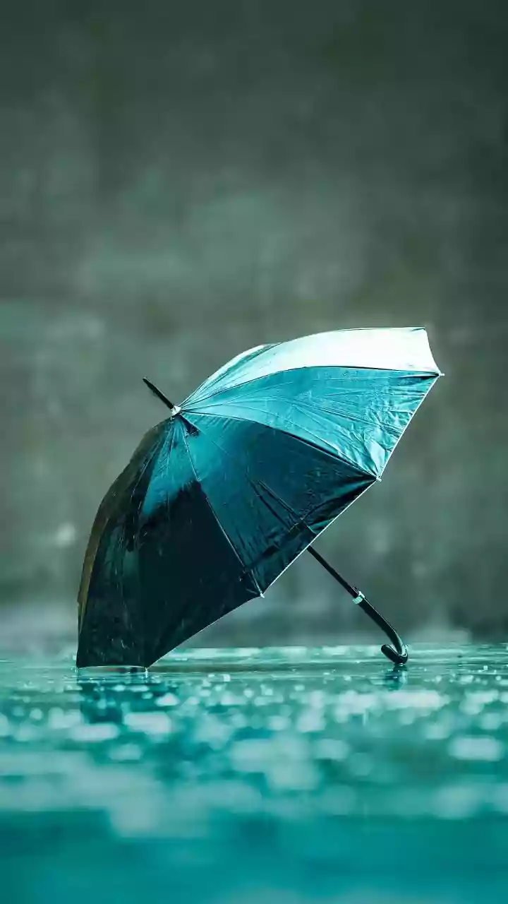 Monsoon Information from India Meteorological Department