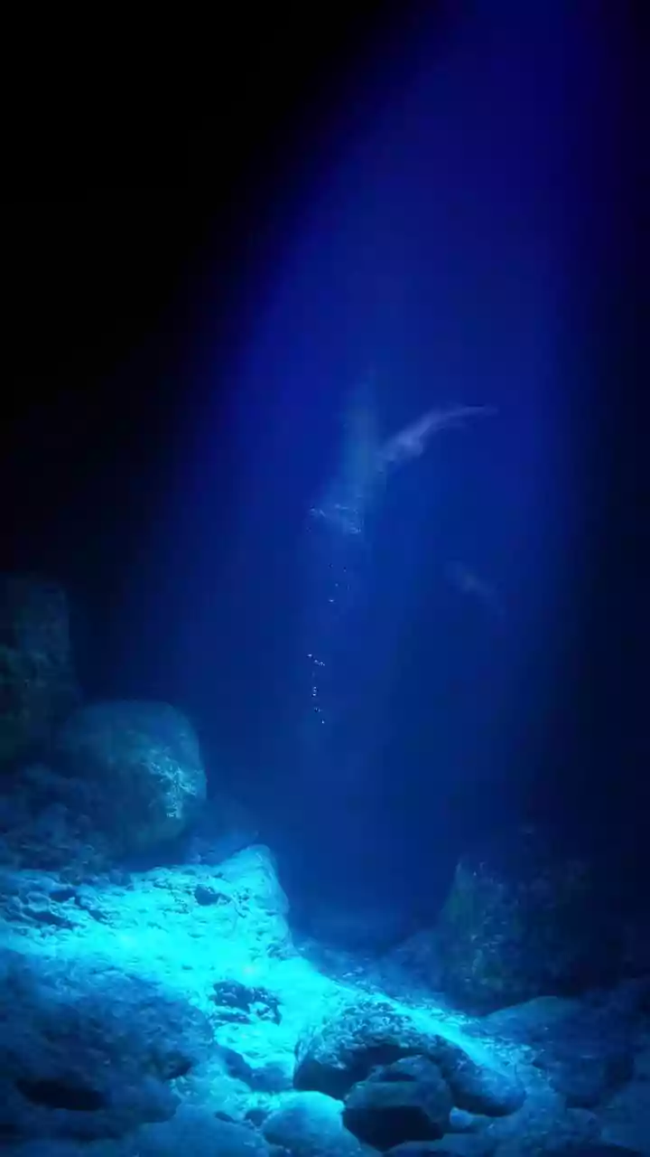 What Underwater Volcanic Sounds Means For Possible Early Warning From Eruption Sounds