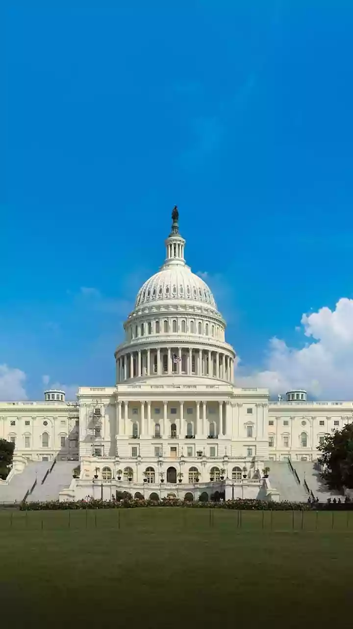 Trump's Presidency: A Look Back