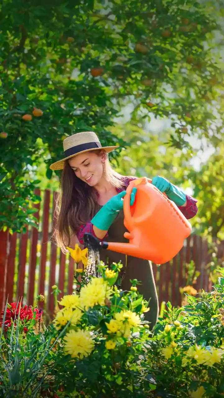 Which Water-Saving Habits Work For Cooking, Cleaning And Gardening