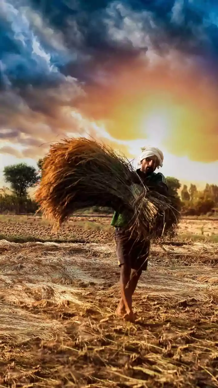 Haryana farmers to get power at 10 paise per unit