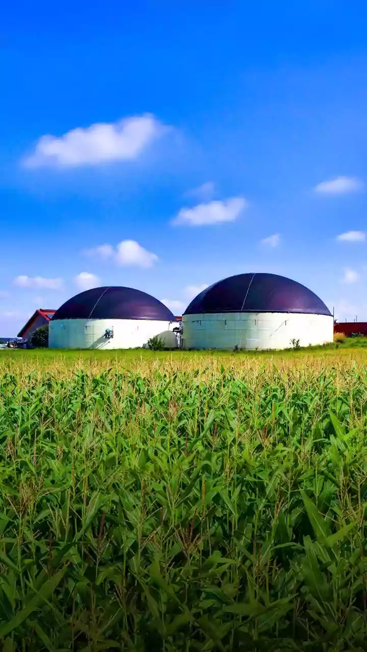 Understanding Sustainable Agriculture and Biofertilizers