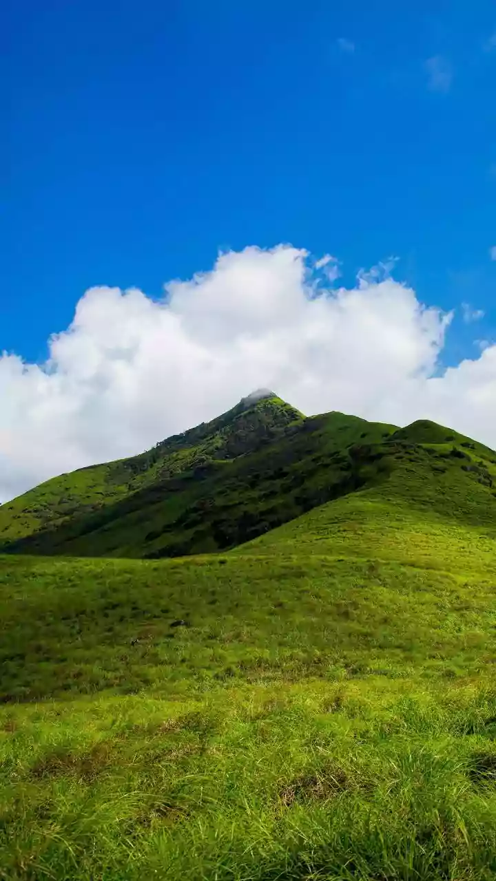 TN Declares Nagamalai Hill Biodiversity Site