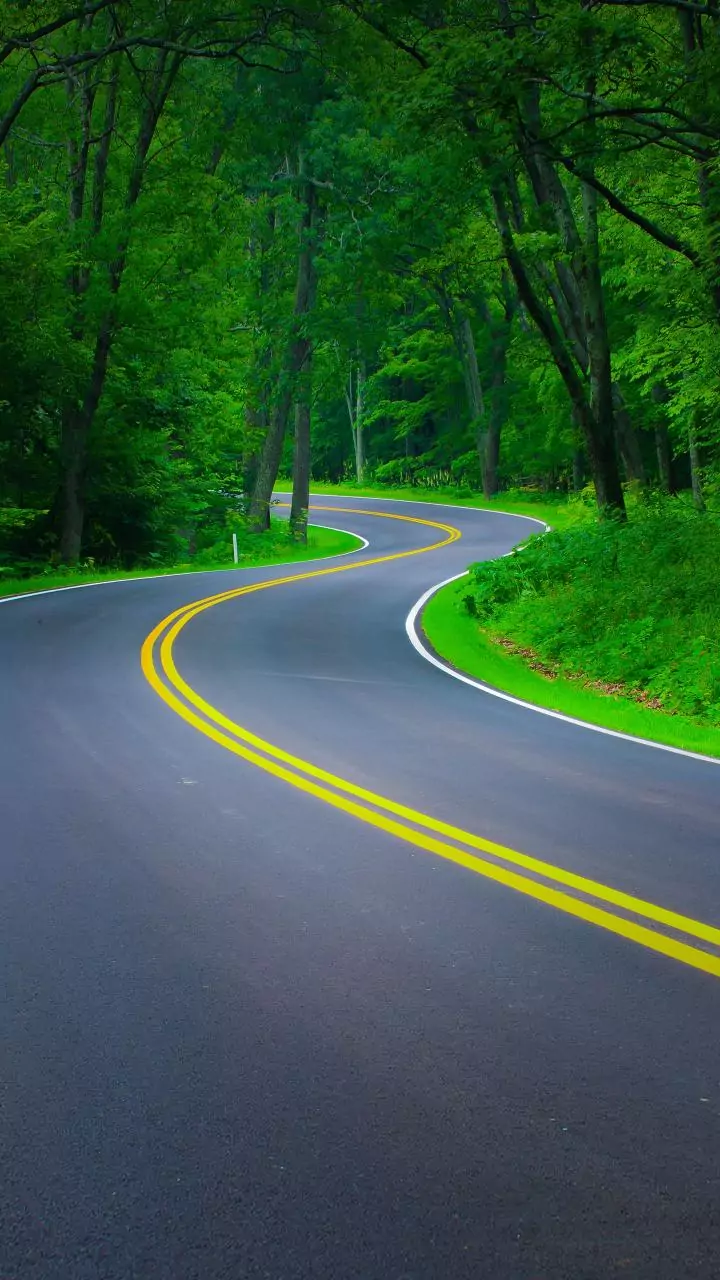 City roads use self healing asphalt with bio engineered binders to seal potholes