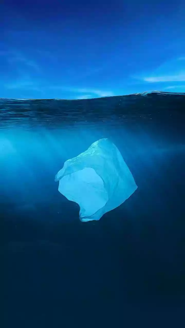 Plastic's Health Toll: Doubling by 2040?