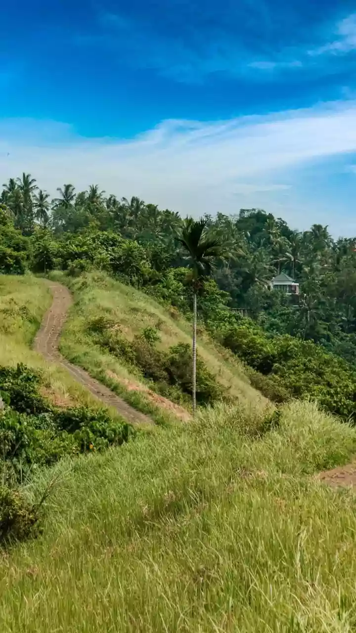 Embarking on Your Spiritual Path: 6 Simple Steps to Inner Exploration