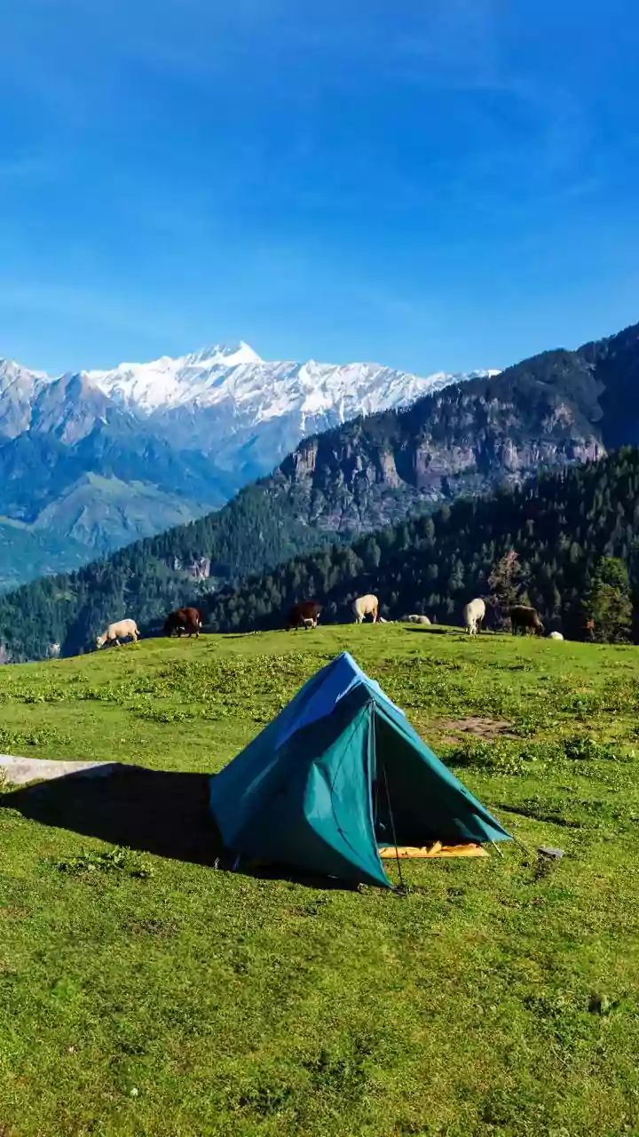 Escape Into India’s Scenic Valleys With These Incredible Mountain Music Festivals Worth Travelling For