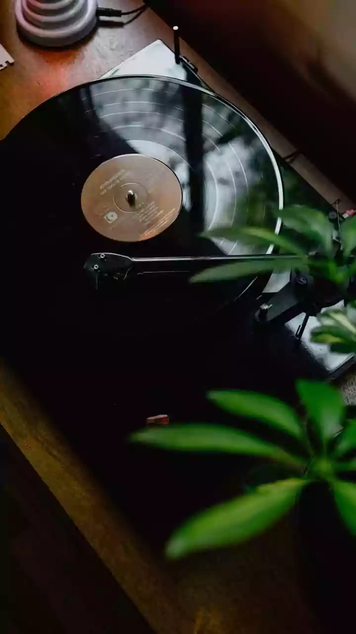 Timing helps February releases trend quickly