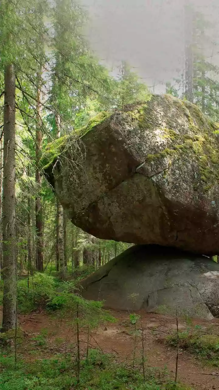 We learned these wild things about Earth in 2025