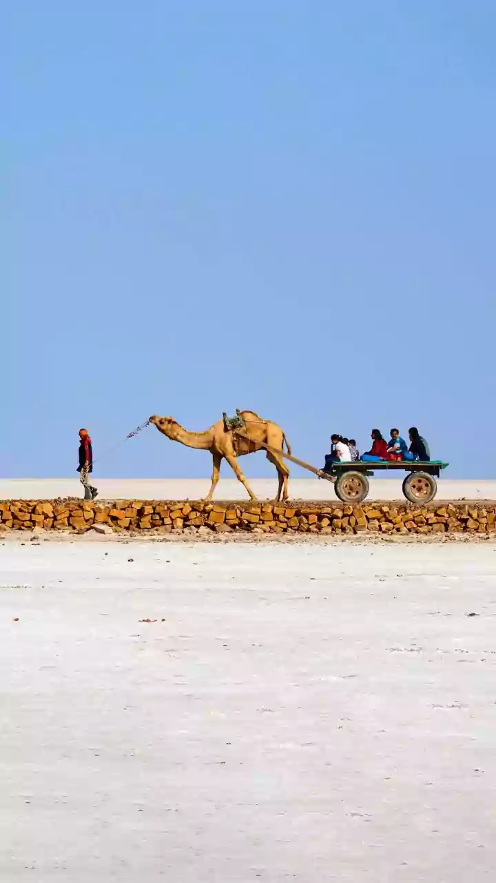 Discovering Rann: Festivals, heritage and cultural treasures