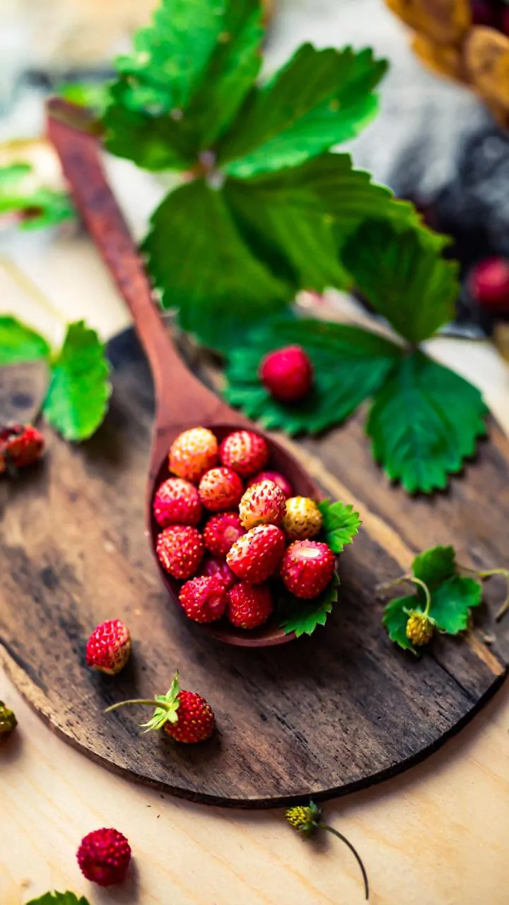 Understanding Indian Strawberry Breeding Through An MPKV-BARC Climate-Resilience Programme
