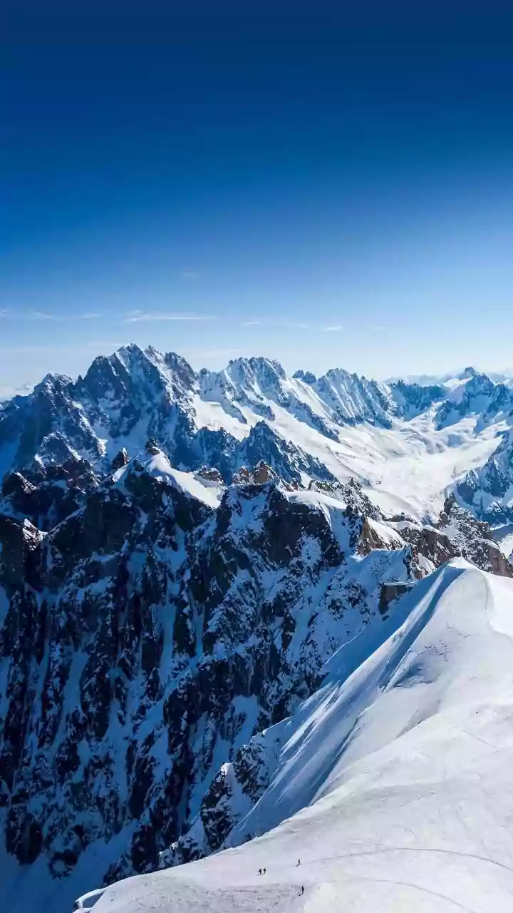 ‘What The H*ll Happened?’ Trump Mocks French President Macron’s ‘Aviators’ During Davos Speech | VIDEO
