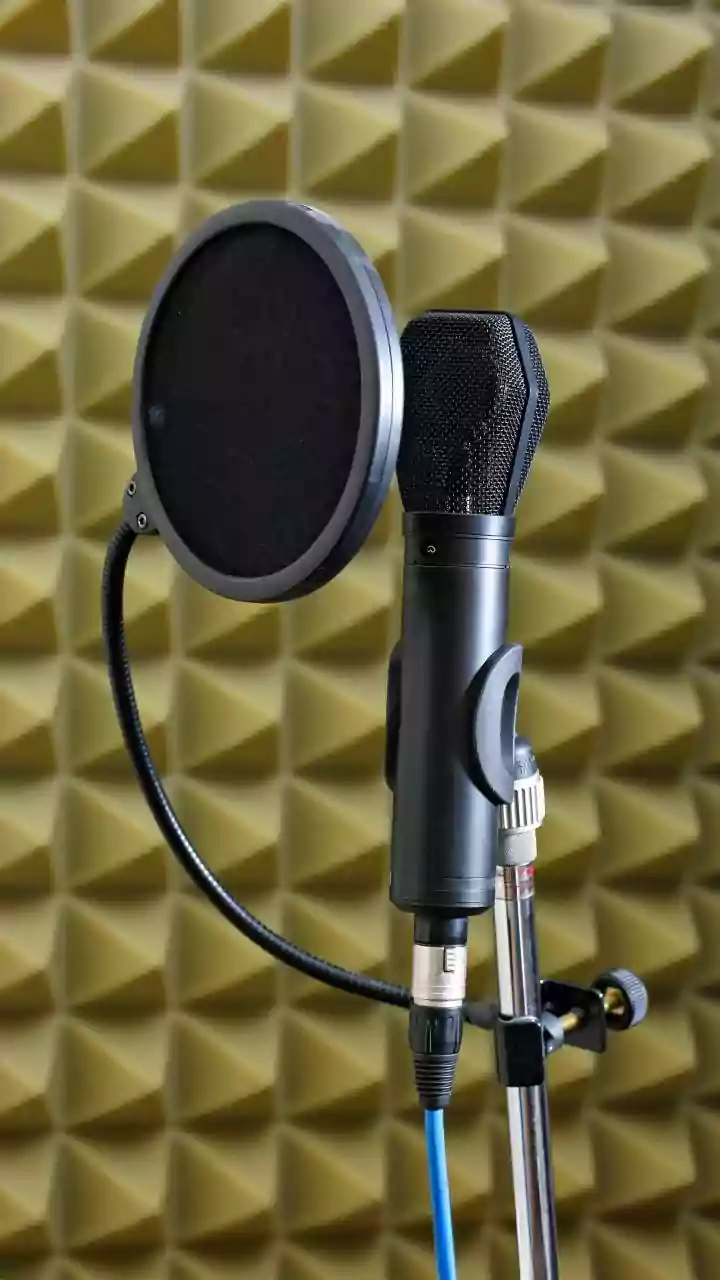 How Compressed Husk And Straw Panels Deliver Soundproofing Solutions For Home Studios