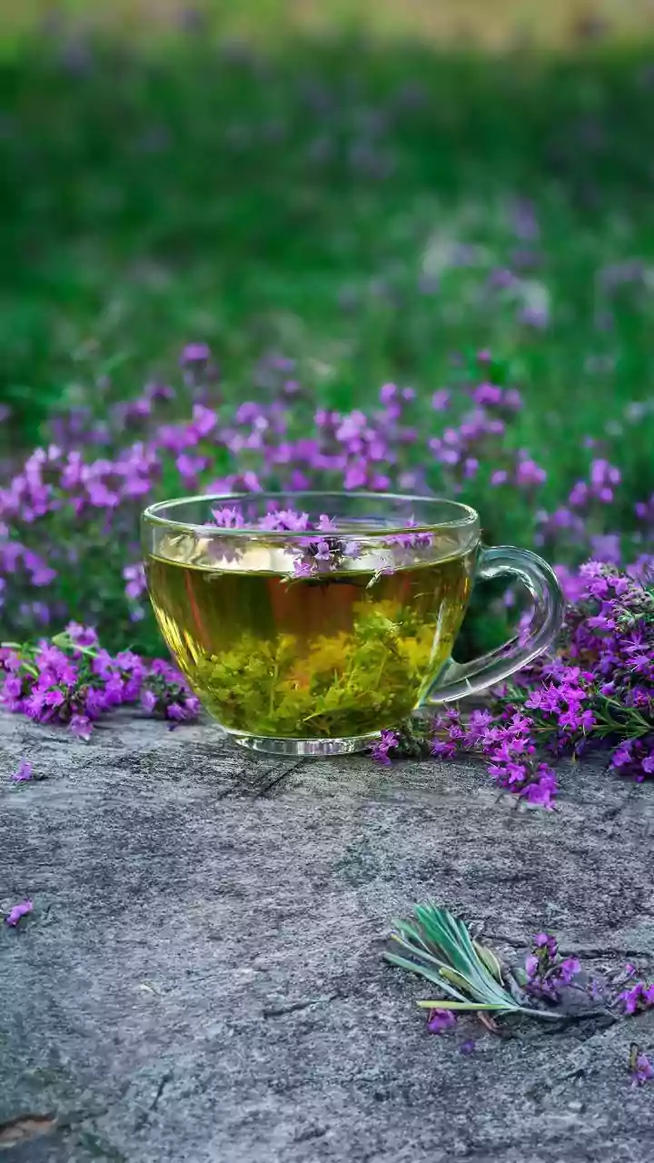 Hydration Made Healthy: Natural Herbal Drinks That Keep Energy Levels High Through Workdays