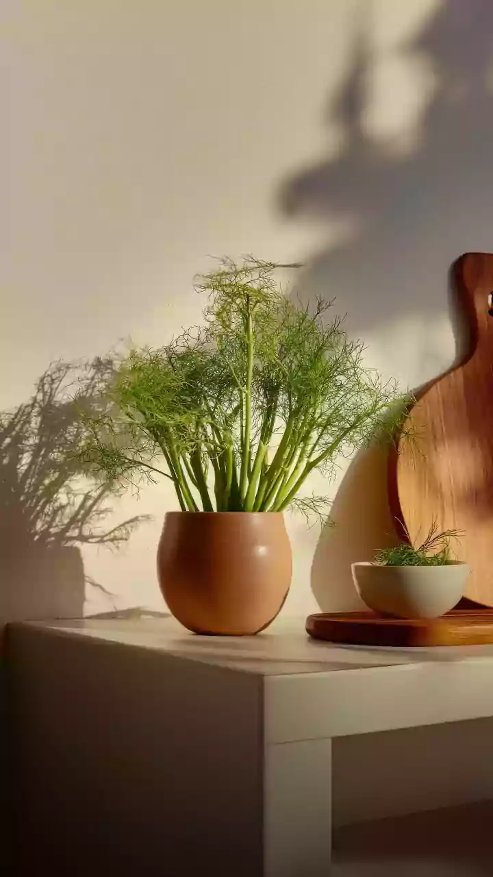 Why Terracotta Cooking Pots Are Returning To Stylish Urban Kitchens This Year