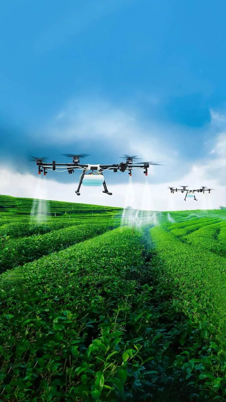 Supply Chain Asset Pooling Firm LEAP India & Eldorado Agritech & More Secure SEBI's Approval To Raise Funds Through IPO