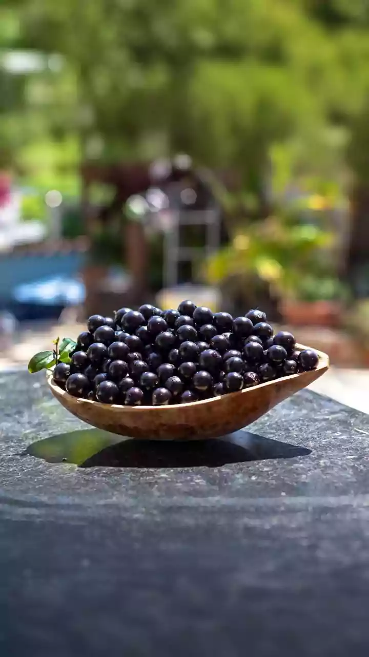 Jamun Prices Plummet: Supply Surge Brings Sweet Relief to Pune Markets