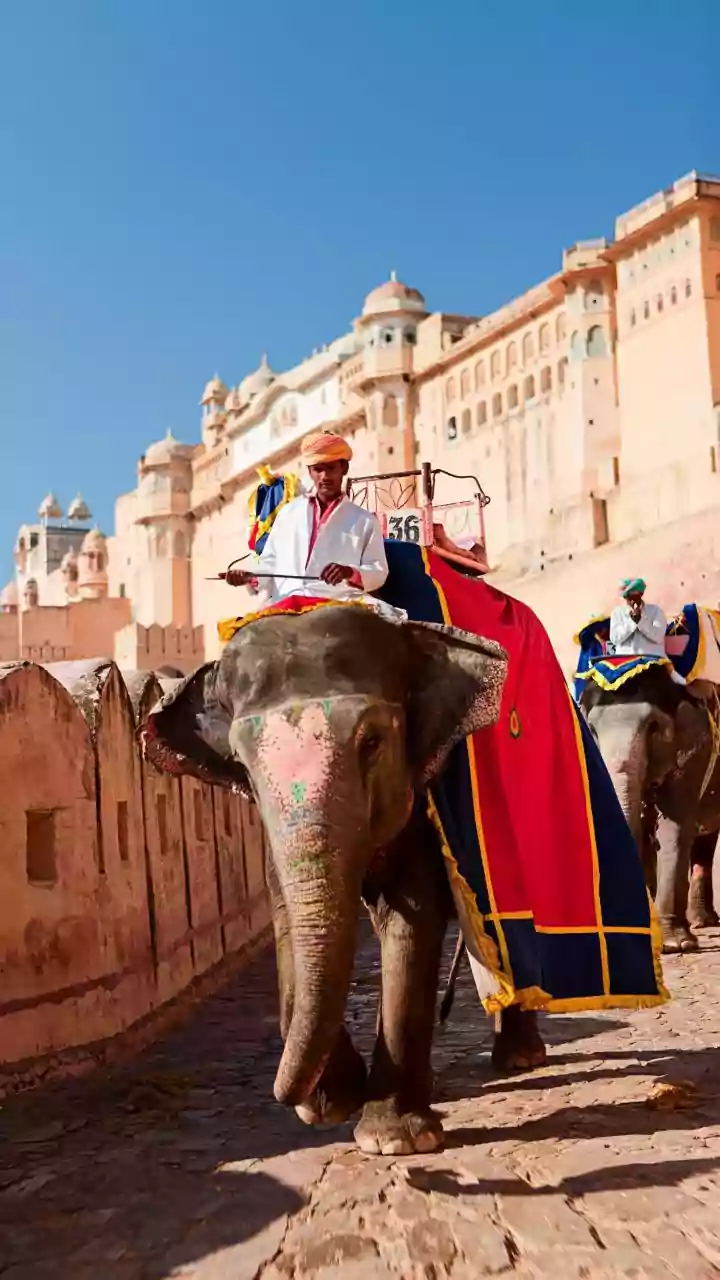 Germany's Friedrich Merz in India: What will be the focus of this visit?