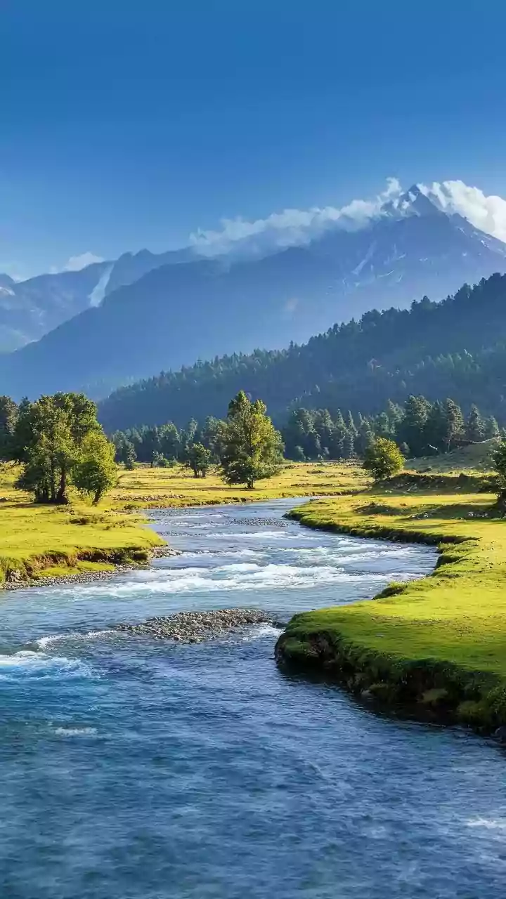 J-K: DM Rajouri Wades Into Chilling Darhali River To Remove Garbage