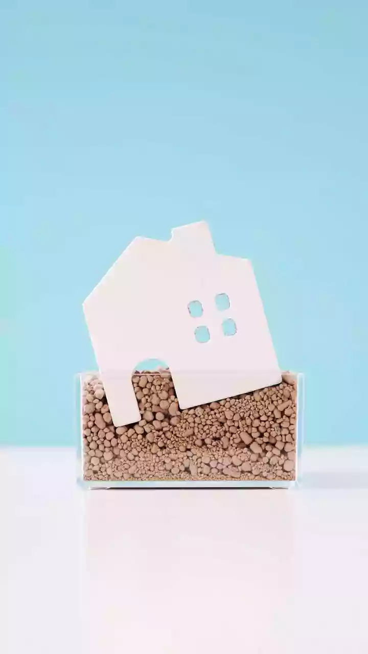 Why Homeowners Should Not Ignore Persistent Damp Patches