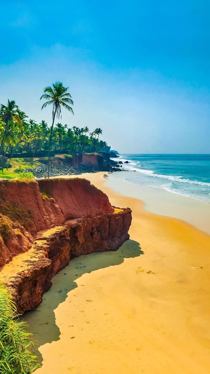 Babus, mantris & buzz: Goa BJP to see change, with complete reset upto the top?