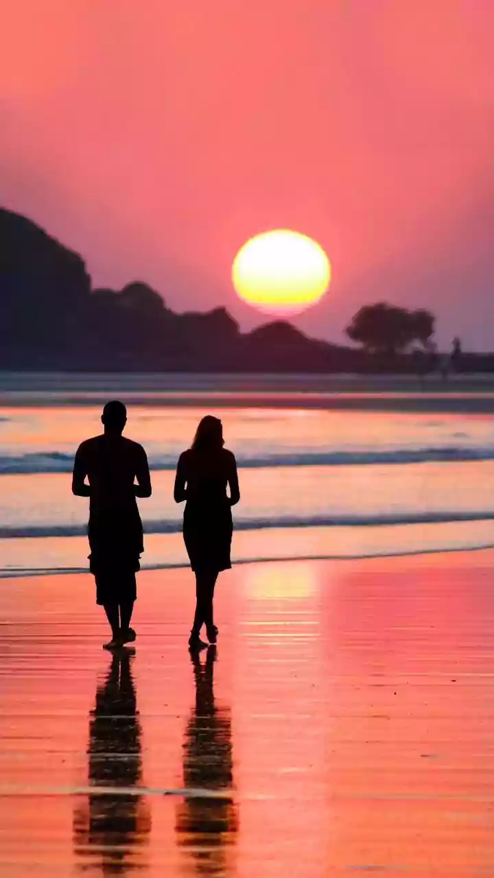 Boost Immunity & Bones: Top 10 Vitamin D Supplements in India