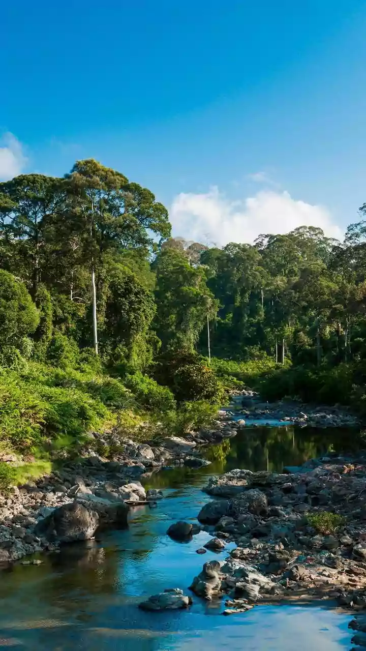 Chogoria route: A lesser-known trail for hikers