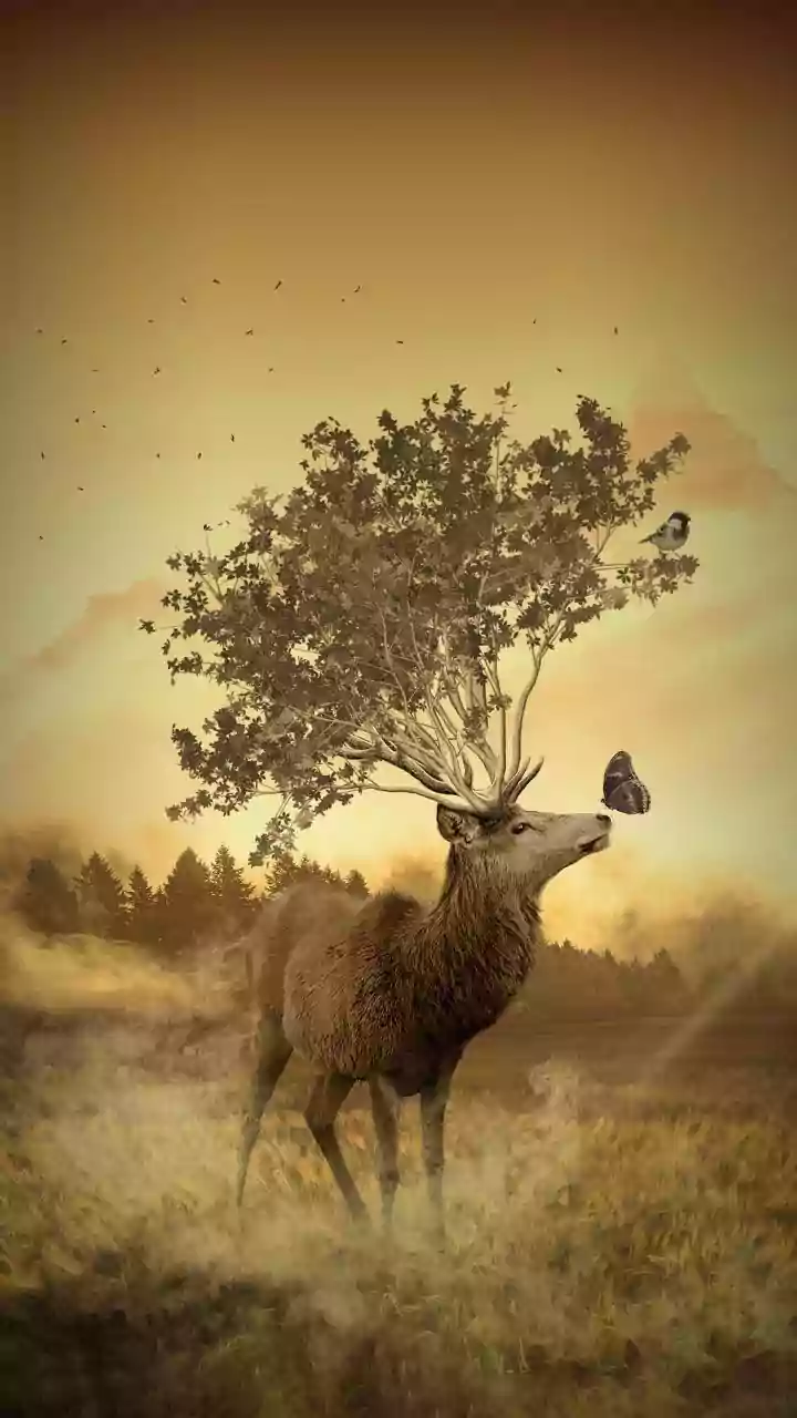 7 Hidden Signs You're Spiritually Gifted (And Don't Even Know It)