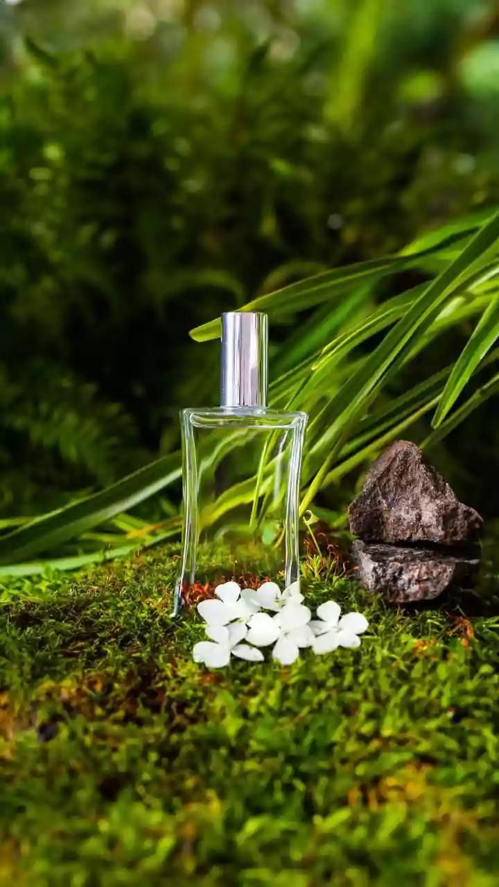 Prada launches "chai-inspired" perfume with cardamom fusion