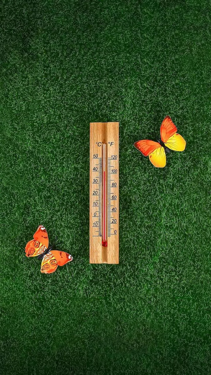 Frio intenso já está no fim; saiba quando o casaco vai poder voltar para o armário